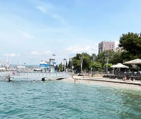 Dema Koper