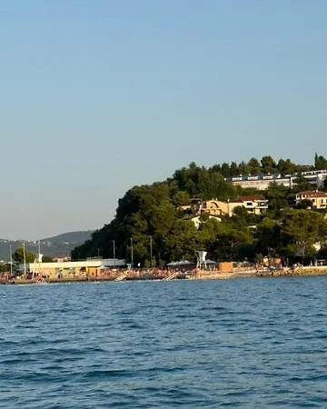 Dema Koper